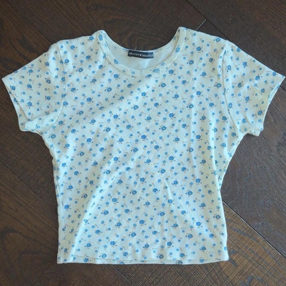Brandy Melville White and Blue Floral crop top